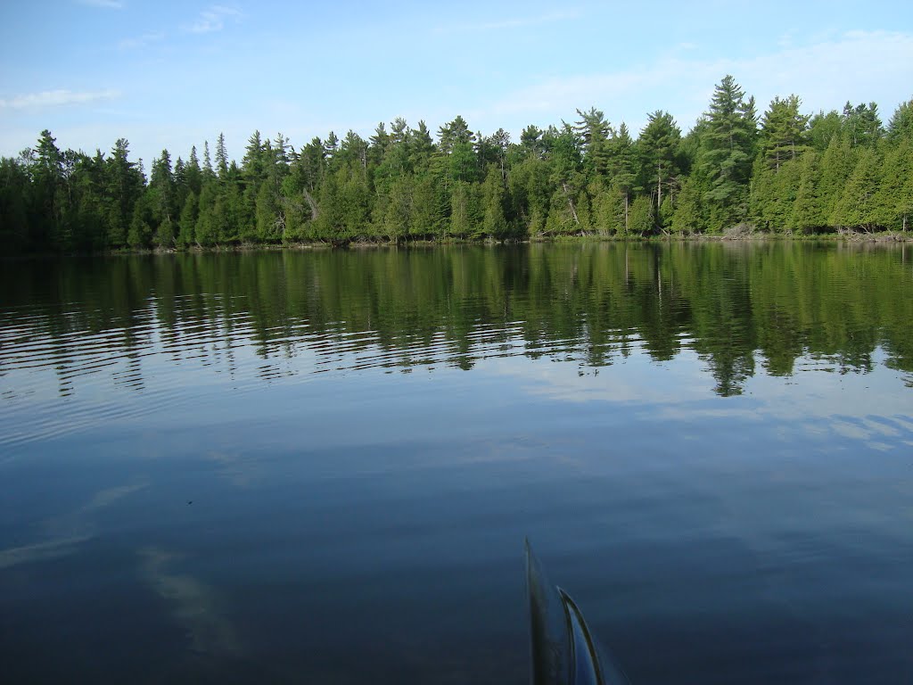 holmes lake ny - holmes lake park lincoln map